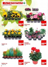 Interspar Zahrada od 20.3.2013, strana 2 